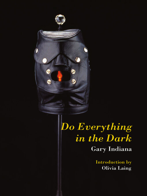 Title details for Do Everything in the Dark by Gary Indiana - Available